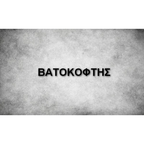 ΒΑΤΟΚΟΦΤΗΣ