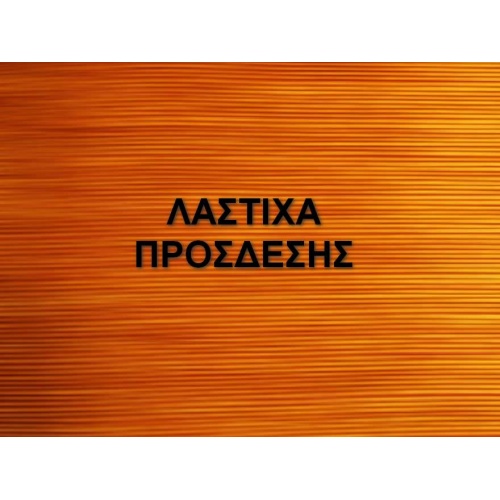 ΛΑΣΤΙΧΑ ΠΡΟΣΔΕΣΗΣ